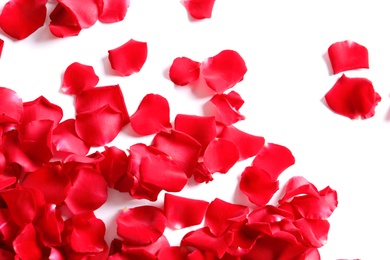 Beautiful rose petals on white background