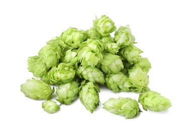 Photo of Fresh ripe green hops on white background