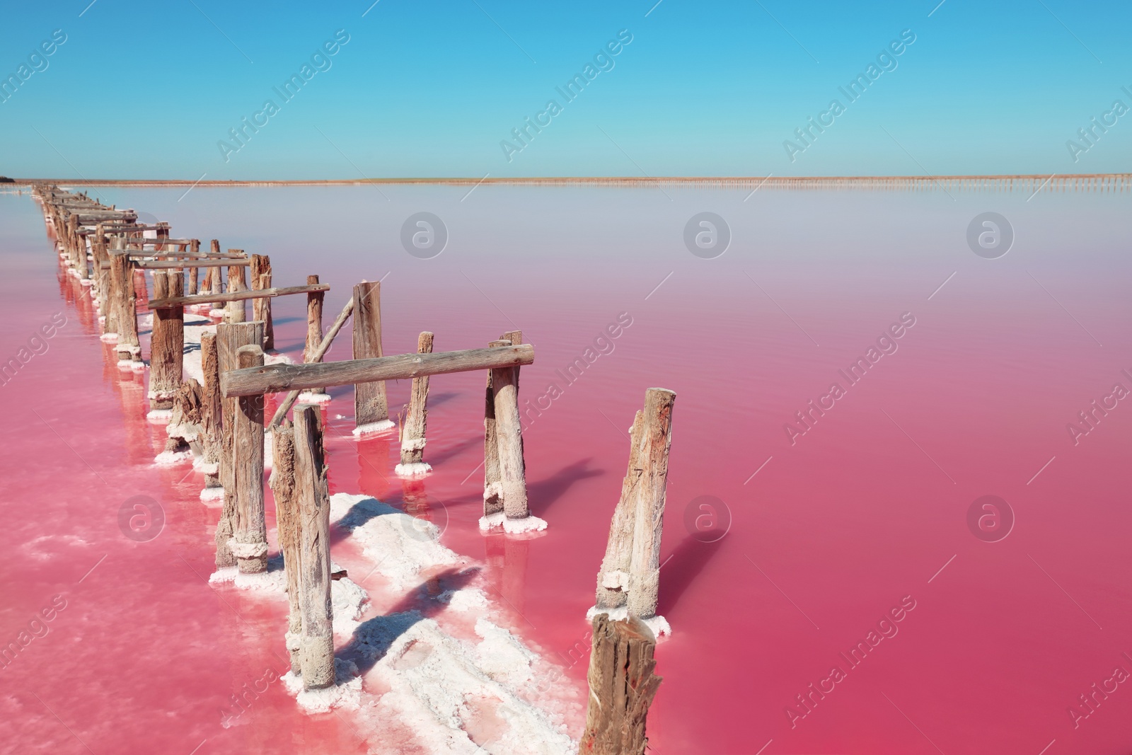 Photo of Beautiful view of pink lake on summer day