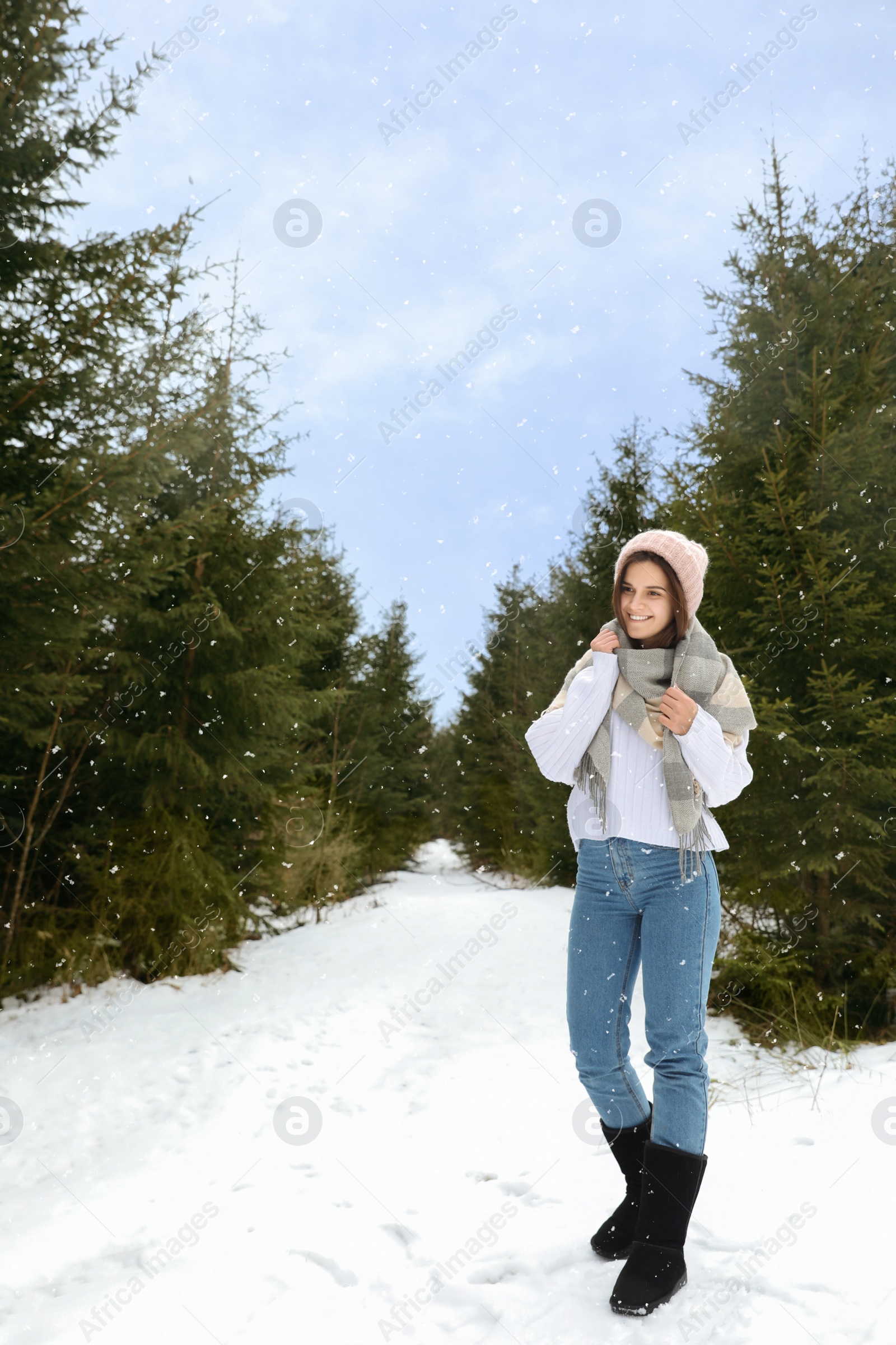 Photo of Young woman in snowy conifer forest. Winter vacation