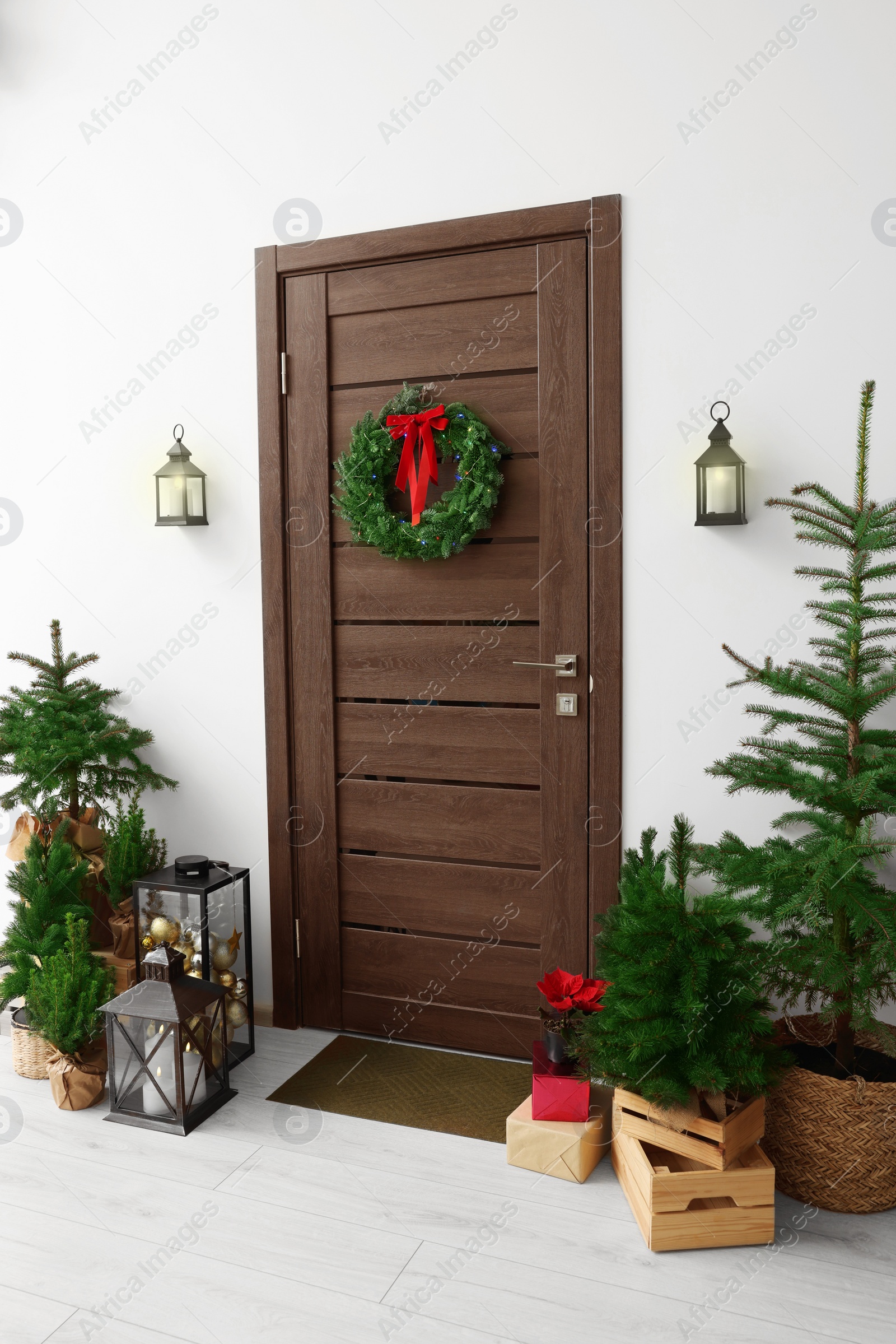 Photo of Beautiful Christmas lantern and fir trees near entrance indoors