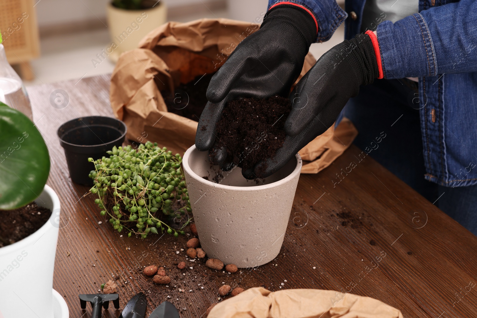 Photo of Woman in gloves filling flowerpot with soil at wooden table indoors, closeup. Transplanting houseplants