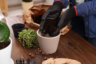 Woman in gloves filling flowerpot with soil at wooden table indoors, closeup. Transplanting houseplants