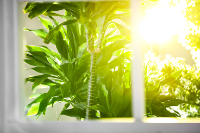 Photo of Beautiful view through window on garden in morning