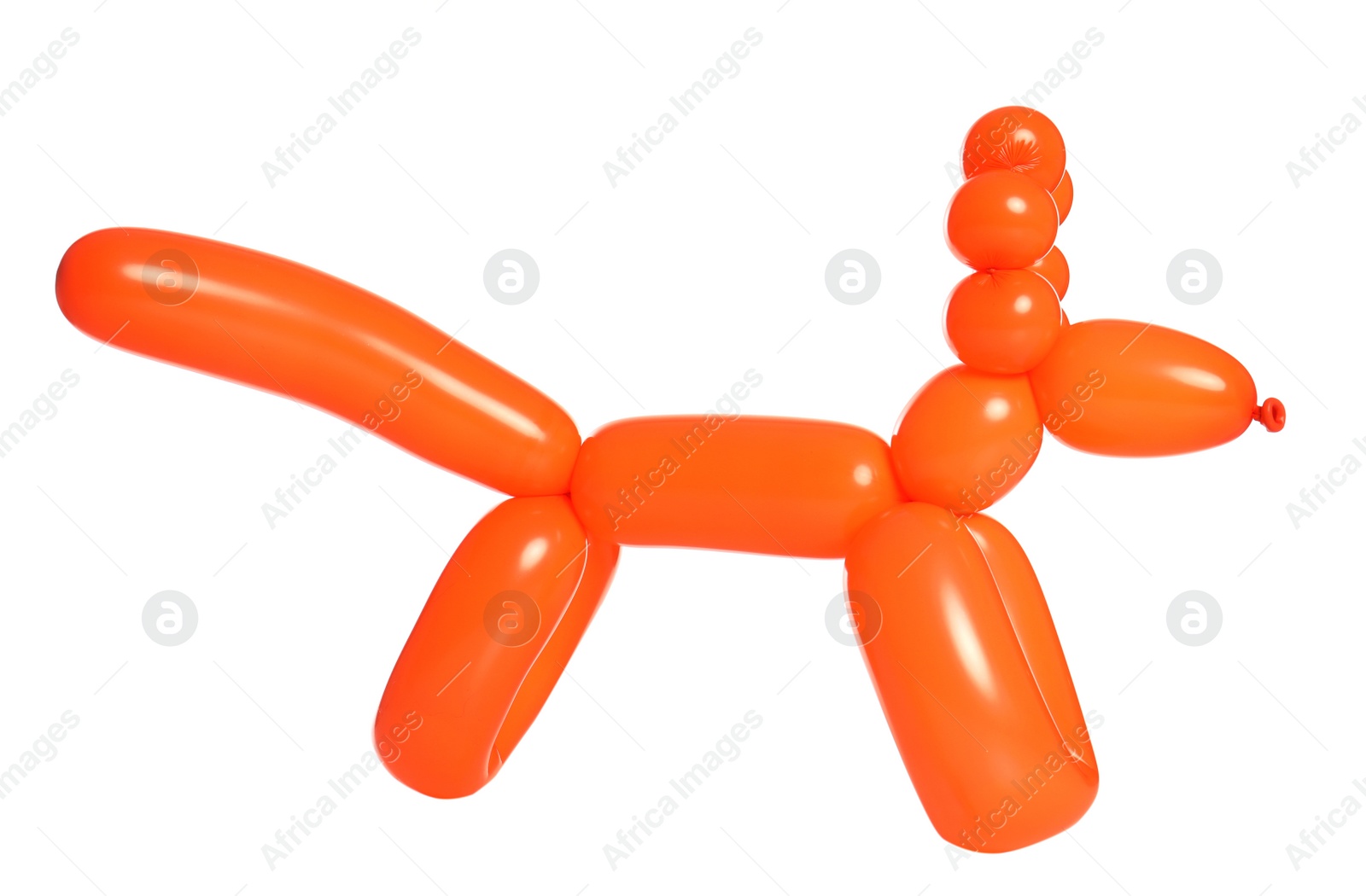 Photo of Animal figure made of modelling balloon on white background