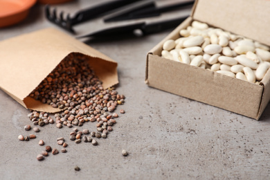 Photo of Different vegetable seeds on grey table, closeup