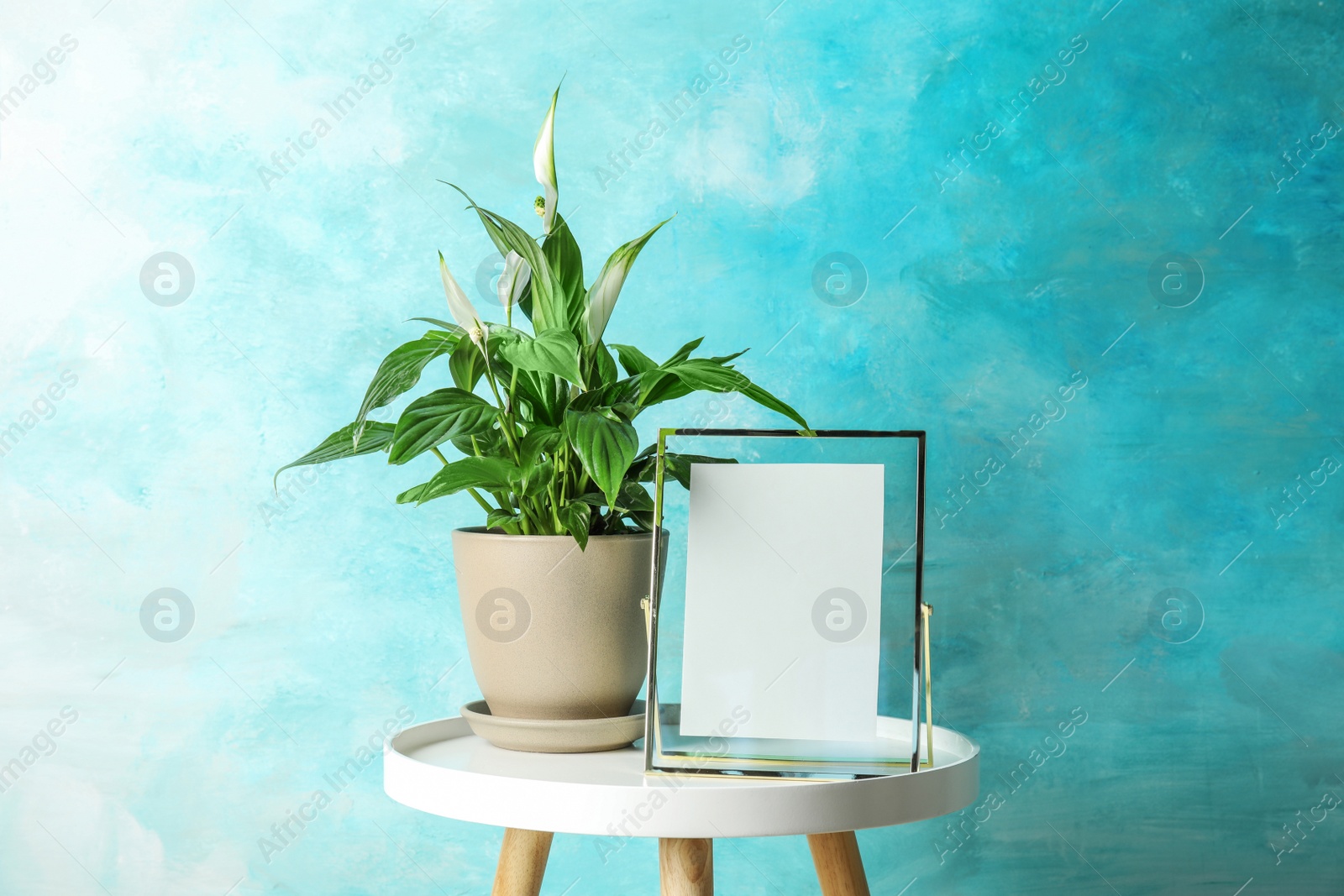 Photo of Spathiphyllum plant and photo frame on table near color wall, space for design. Home decor