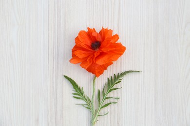 Photo of Beautiful bright red poppy flower on white wooden background, top view
