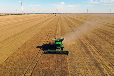 Modern combine harvester working in field on sunny day. Agriculture industry