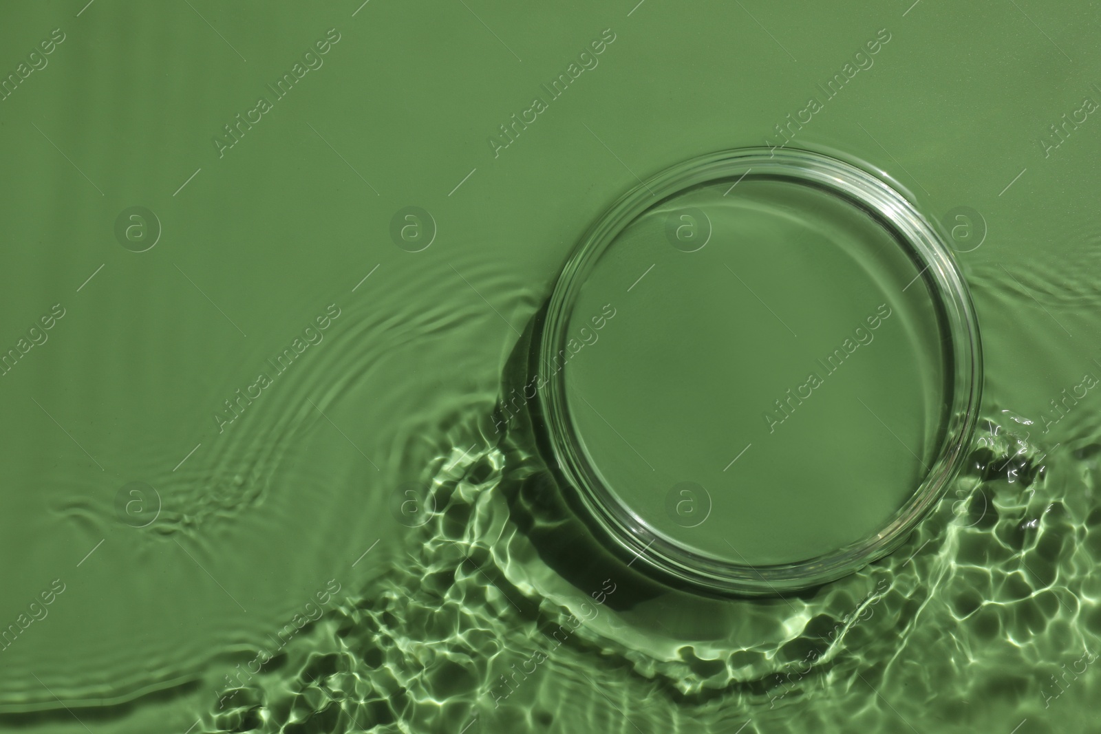 Photo of Stylish presentation for product. Glass podium in water on pale green background, top view. Space for text