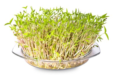 Photo of Mung bean sprouts in glass dish isolated on white