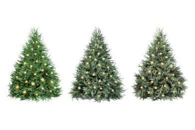 Image of Christmas trees decorated with festive lights isolated on white, set