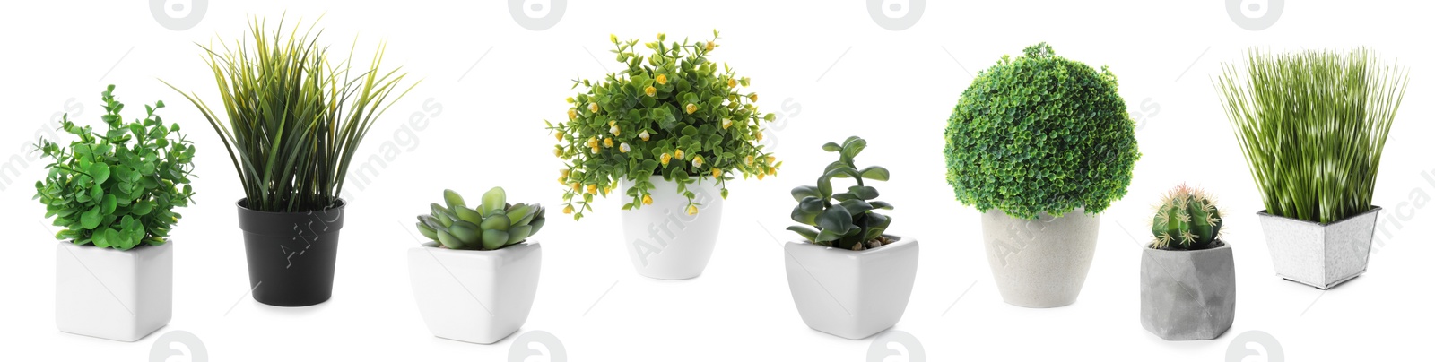 Image of Set of artificial plants in flower pots isolated on white. Banner design