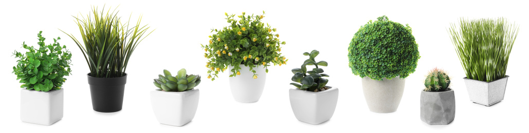 Set of artificial plants in flower pots isolated on white. Banner design