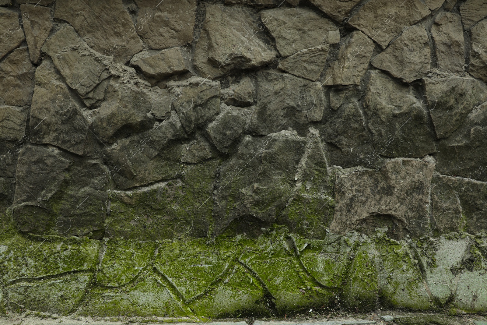 Photo of Brick wall with green moss as background, closeup