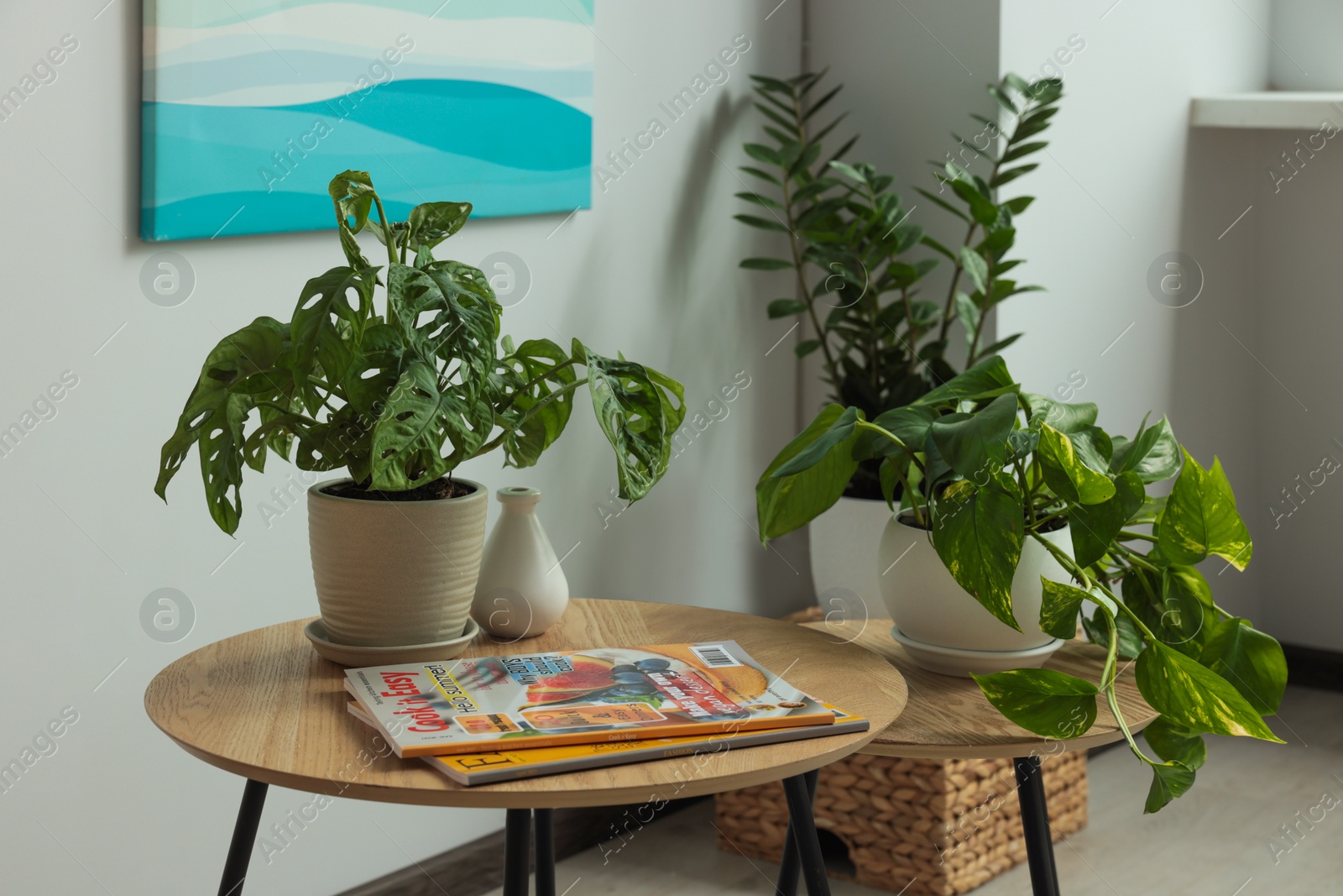 Photo of Beautiful house plants and magazines on wooden table indoors. Home design idea