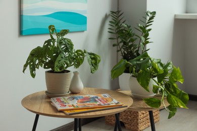 Photo of Beautiful house plants and magazines on wooden table indoors. Home design idea