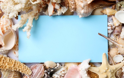 Different beautiful sea shells and blank card, flat lay. Space for text