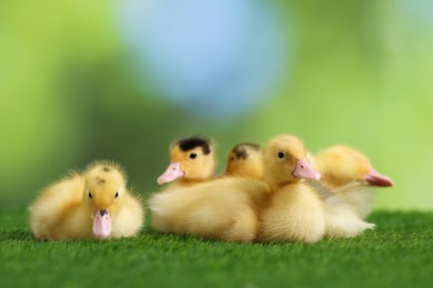 Photo of Cute fluffy ducklings on artificial grass against blurred background, closeup. Baby animals
