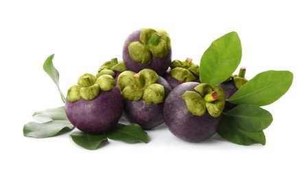 Fresh mangosteen fruits with green leaves on white background