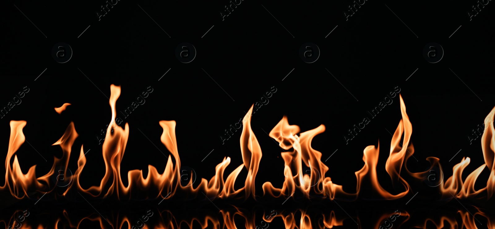 Photo of Beautiful bright fire flames on black background