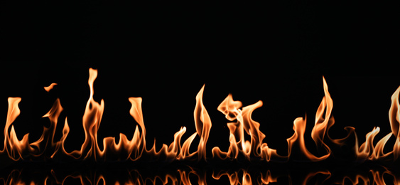 Photo of Beautiful bright fire flames on black background