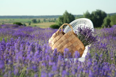 Wicker bag with beautiful lavender flowers on chair in field outdoors