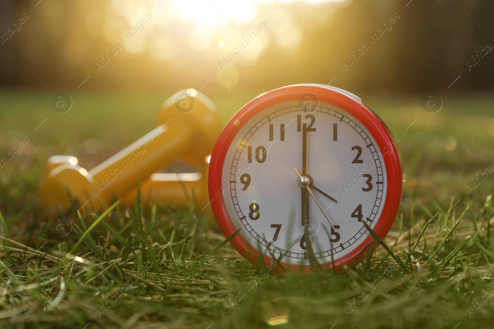 Photo of Alarm clock and dumbbells on green grass outdoors, closeup. Morning exercise