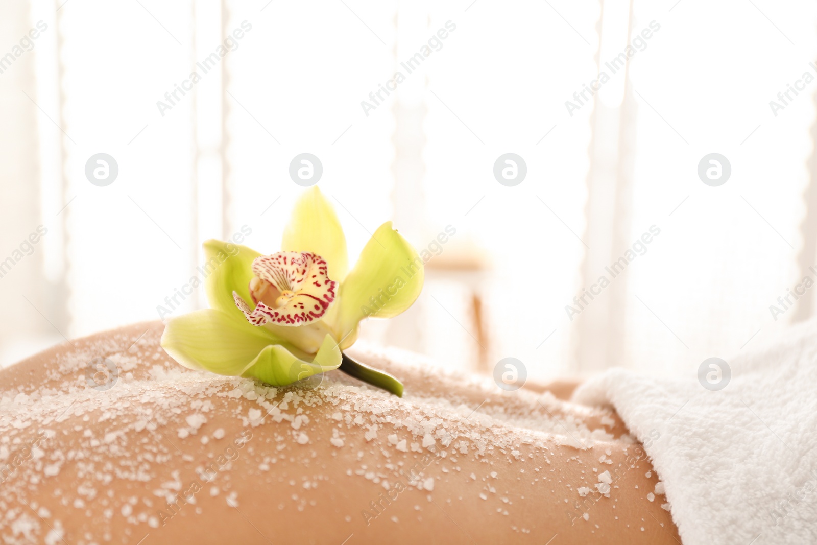 Photo of Young woman having body scrubbing procedure with sea salt in spa salon, closeup