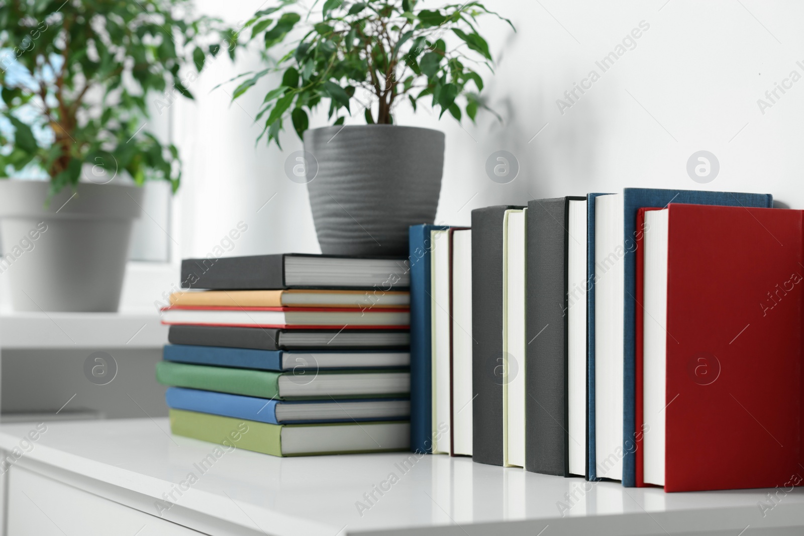 Photo of Many different books and potted plants on white cabinet indoors