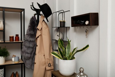 Photo of Stylish hanger for keys on white wall in hallway
