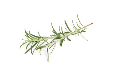 Photo of Sprig of fresh rosemary isolated on white