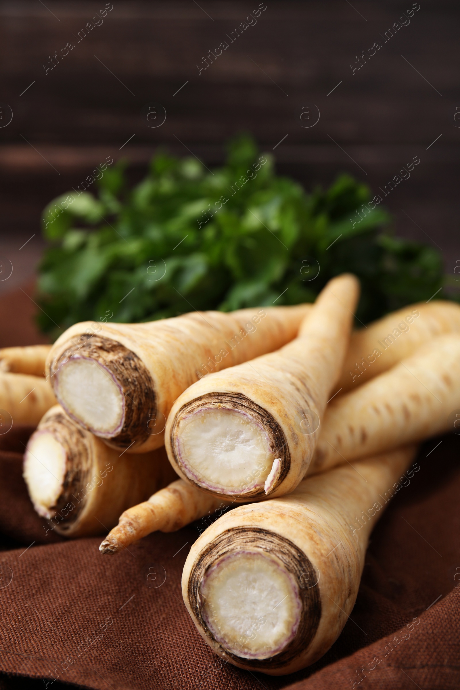 Photo of Whole raw parsley roots and fresh herb on brown fabric, closeup