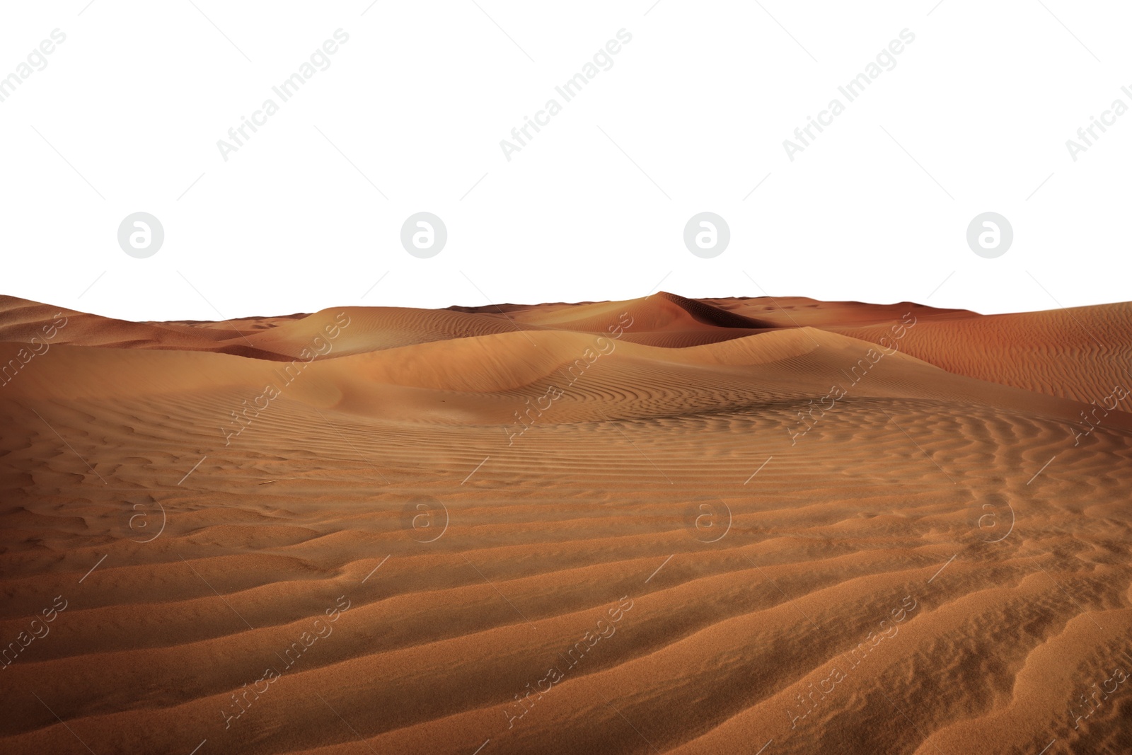 Image of Sand dunes on white background. Wild desert 