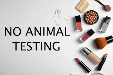 Image of Cosmetic products and text NO ANIMAL TESTING on white background, flat lay
