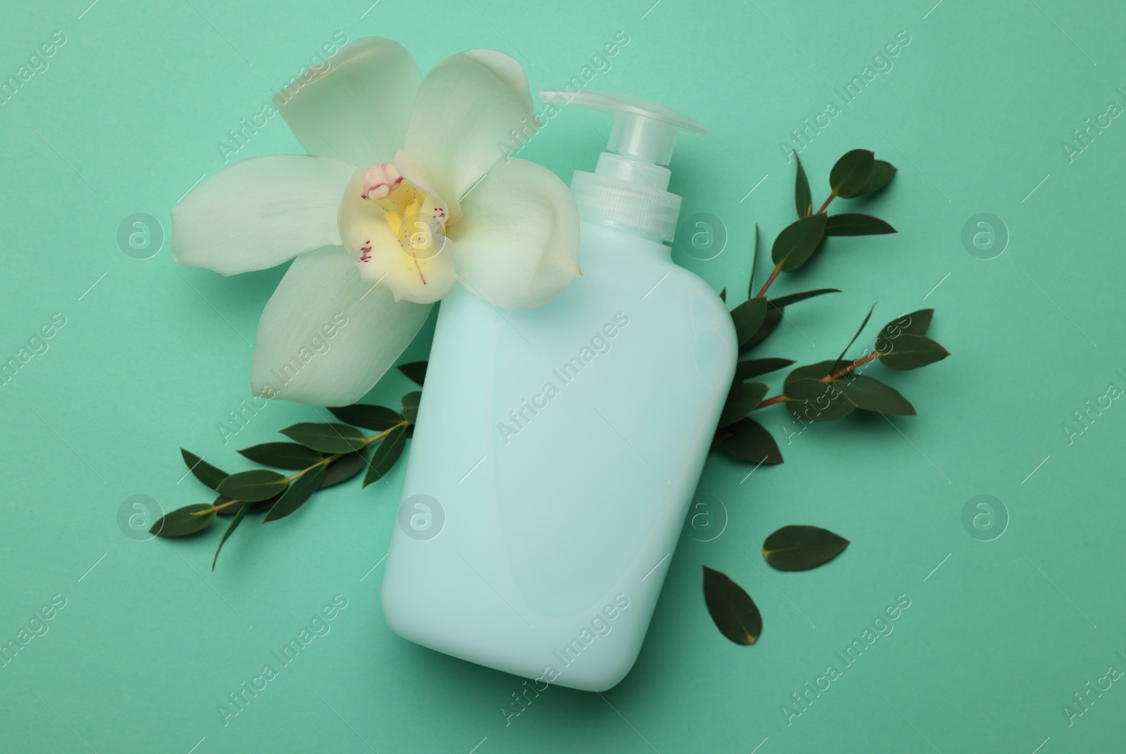 Photo of Bottle of liquid soap, eucalyptus branches and flower on turquoise background, flat lay