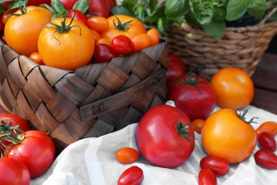 Photo of Different sorts of tomatoes on wooden bench