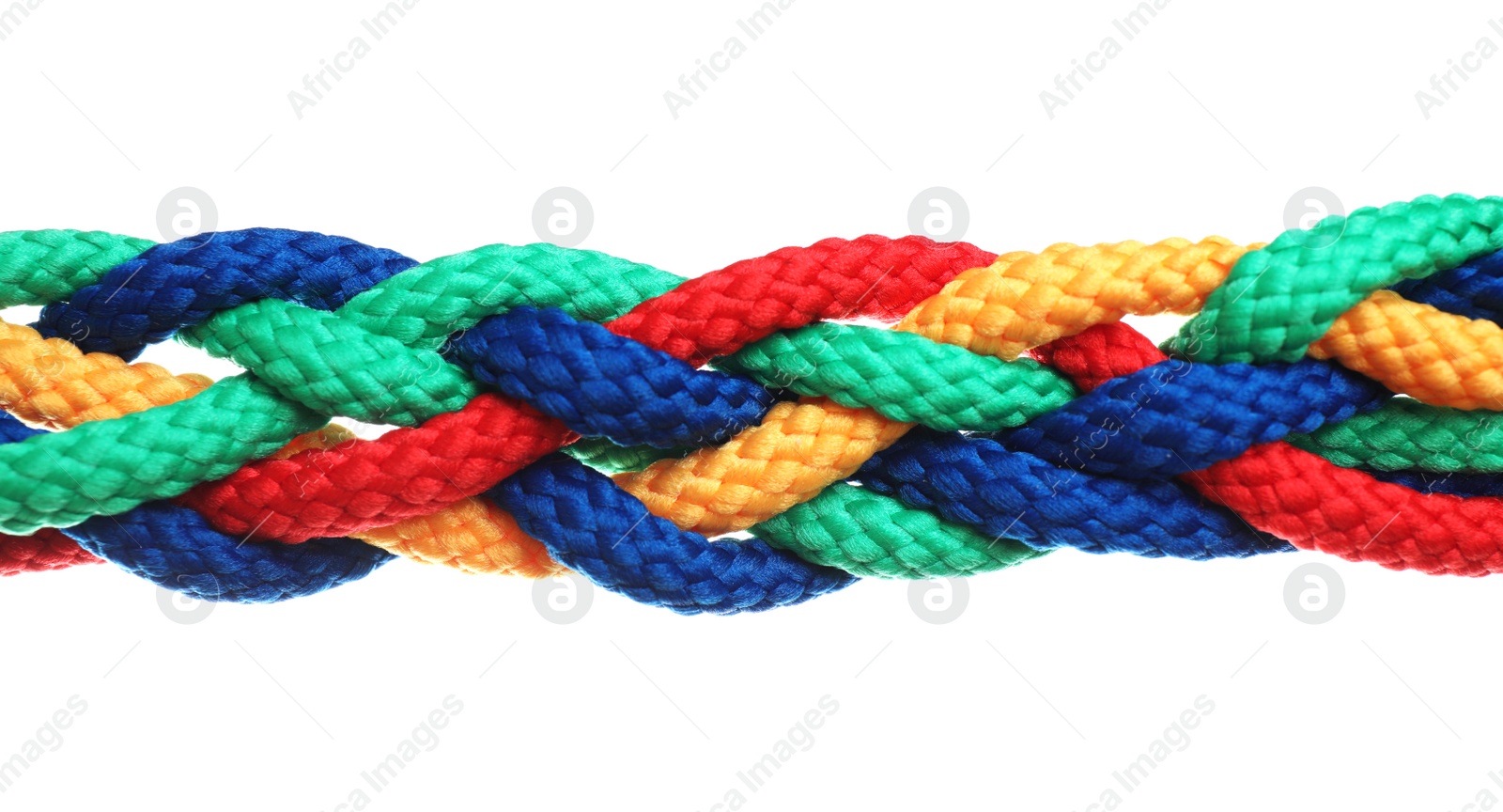 Photo of Braided colorful ropes isolated on white. Unity concept