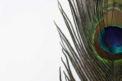 Photo of Beautiful bright peacock feather on white background, closeup