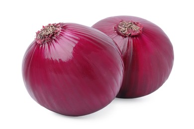 Two fresh red onions on white background