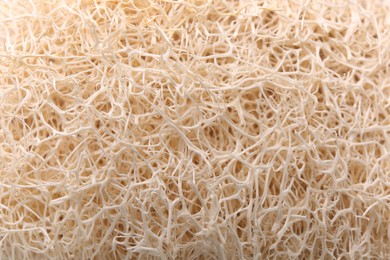 Photo of Loofah sponge as background, closeup. Personal hygiene product