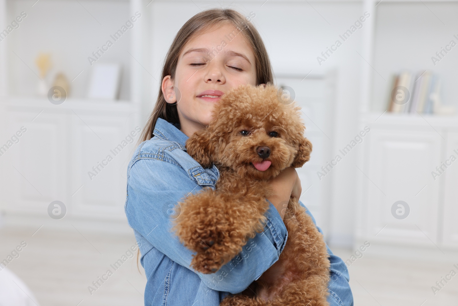 Photo of Little child with cute puppy at home. Lovely pet