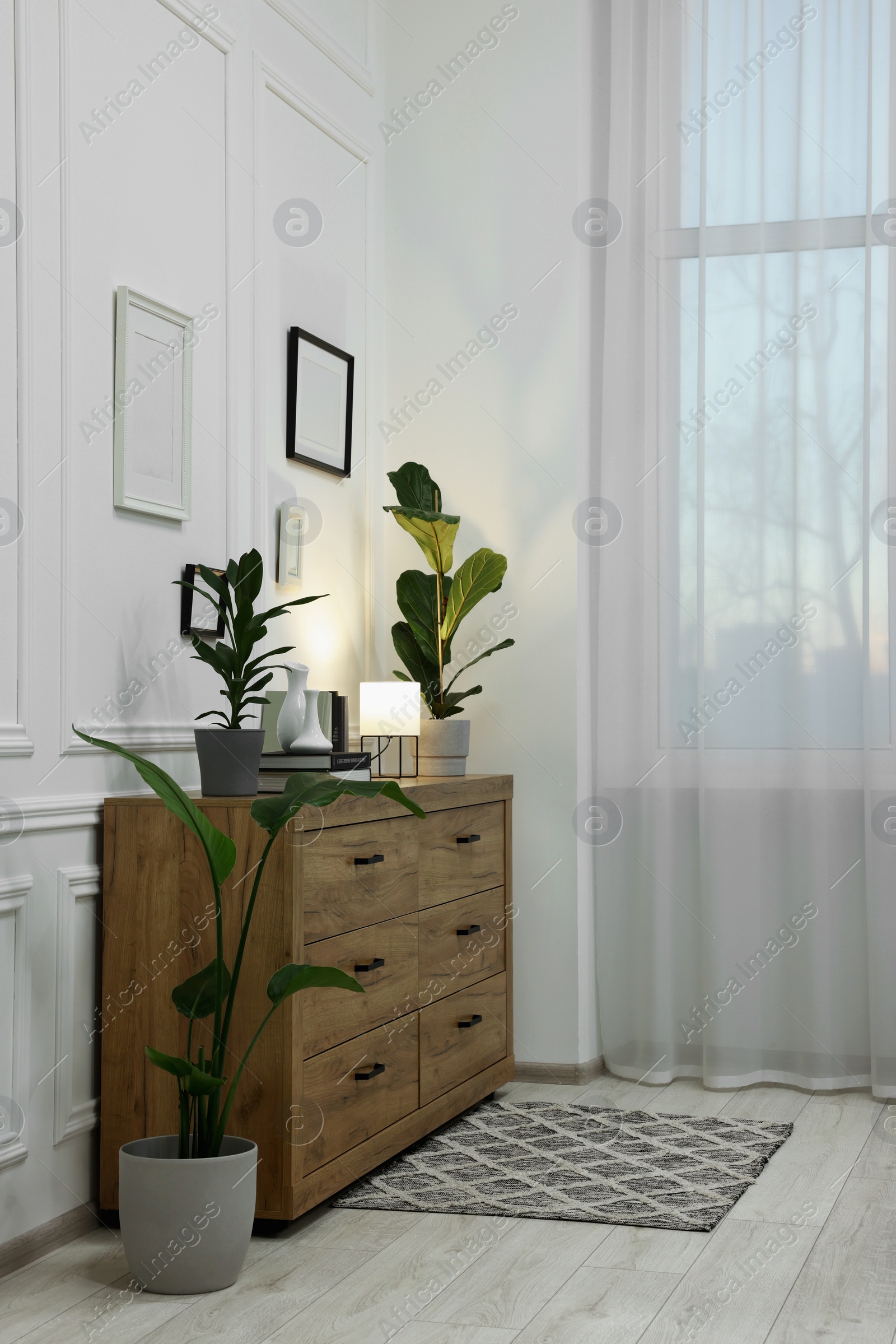 Photo of Stylish room interior with chest of drawers, decor elements and houseplants