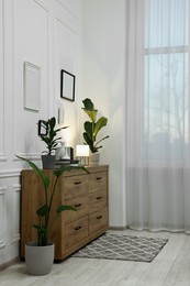 Stylish room interior with chest of drawers, decor elements and houseplants