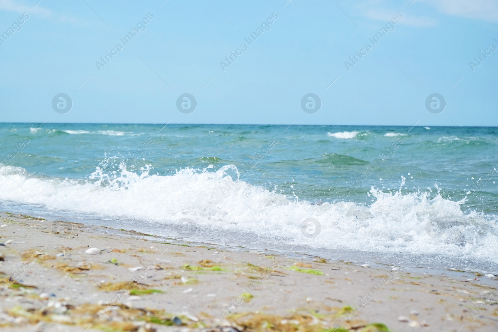 Photo of Beautiful view of sandy beach on sunny summer day