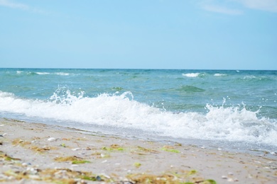 Beautiful view of sandy beach on sunny summer day