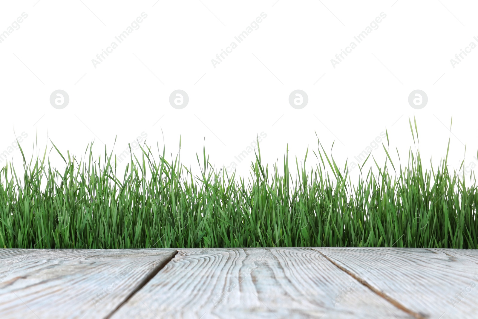 Photo of Wooden deck and green grass isolated on white