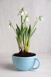 Photo of Beautiful snowdrops planted in turquoise cup on white wooden table