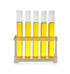 Test tubes with yellow liquid on white background