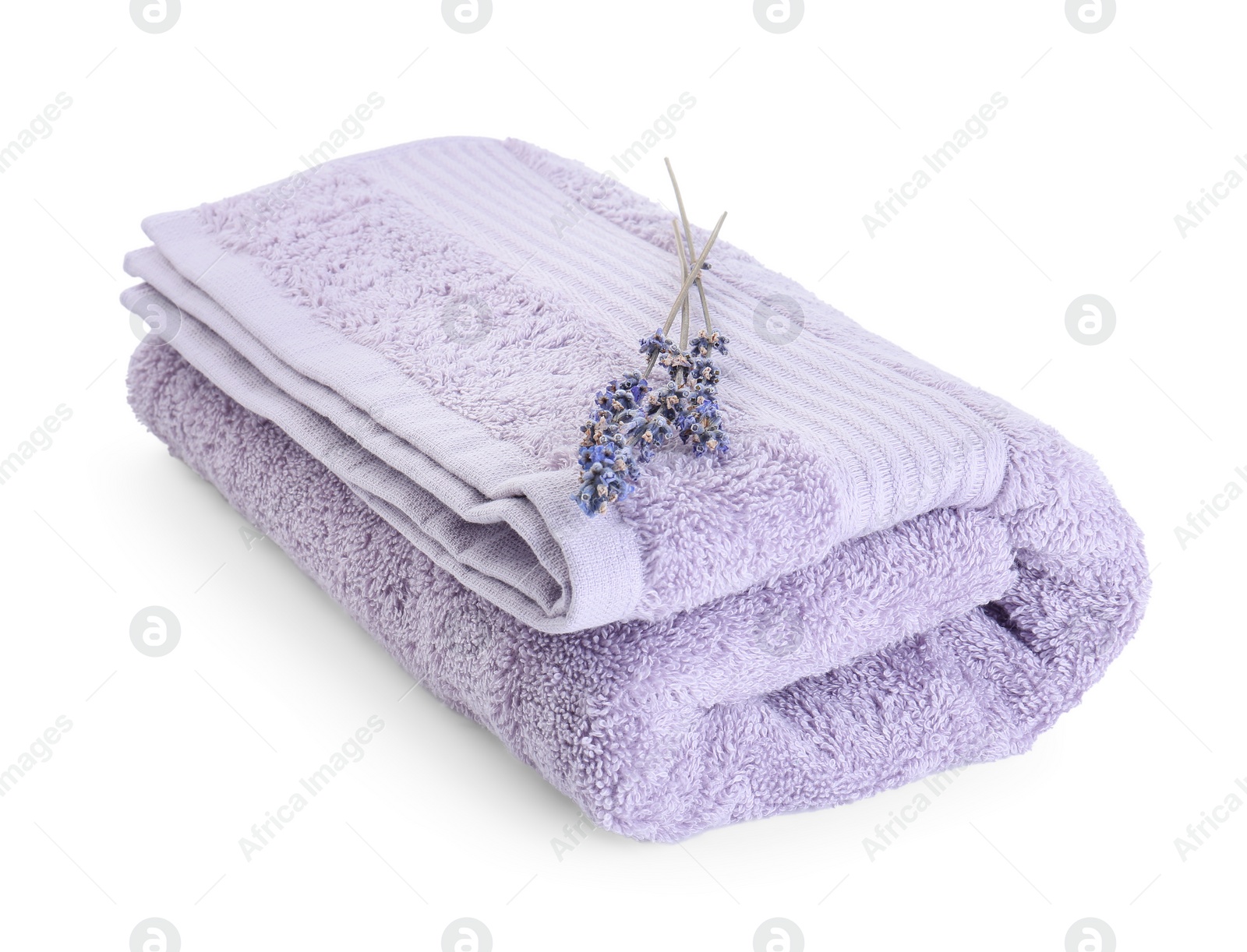 Photo of Folded violet terry towel and dry lavender isolated on white